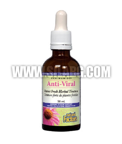 NATURAL FACTORS Anti-Viral Potent Fresh Herbal Tincture / 50ml