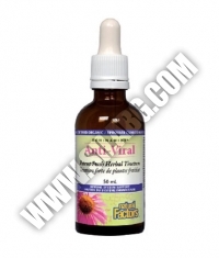 NATURAL FACTORS Anti-Viral Potent Fresh Herbal Tincture / 50ml