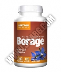 Jarrow Formulas Borage GLA-240 1200mg. / 120 Soft.