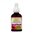 NATURAL FACTORS Echinamide Echinacea Fresh herb Tincture 50ml.