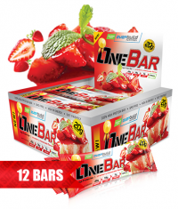 EVERBUILD One Bar / Strawberry / 12x60g.