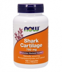 NOW Shark Cartilage 750mg. / 100 Caps.