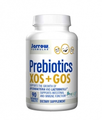 Jarrow Formulas Prebiotics XOS+GOS / 90 Chew.