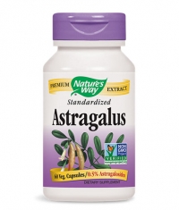 NATURES WAY Astragalus Standardized / 60 Vcaps.