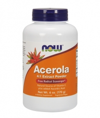 NOW Acerola 4:1 Extract Powder / 170 g
