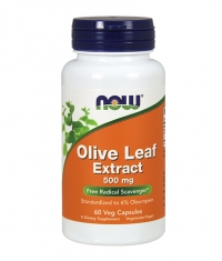 NOW Olive Leaf Extract 500mg / 60Caps.