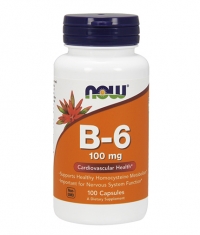 NOW Vitamin B-6 100mg / 100 caps.