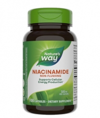 NATURES WAY Niacinamide 500 mg / 100 Caps