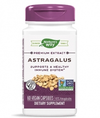 NATURES WAY Astragalus Standardized / 60 Vcaps