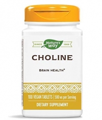 NATURES WAY Choline 500 mg / 100 Tabs