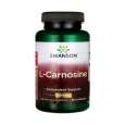SWANSON L-Carnosine 500mg. / 60 Caps
