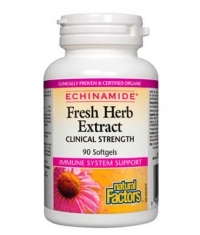 NATURAL FACTORS ECHINAMIDE® Fresh Herb Extract / 90 Soft.