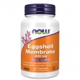 NOW Eggshell Membrane 500 mg / 60 Caps