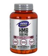 NOW HMB 500 mg / 120Vcaps.