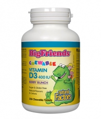 NATURAL FACTORS Bigfriends Vitamin D3 400iu / 250 Chew