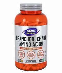 NOW Branched Chain Amino Acid / BCAA / 240 Caps