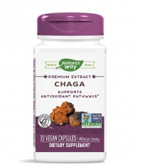 NATURES WAY Chaga 480 mg / 30 Vcaps