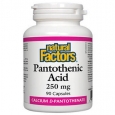 NATURAL FACTORS Pantothenic Acid 250mg / 90 Caps