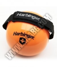 HARBINGER Weighted Fitness Ball with Velcro Strap / 2722g.