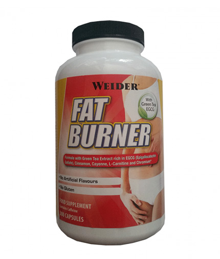 sila bg burner fat