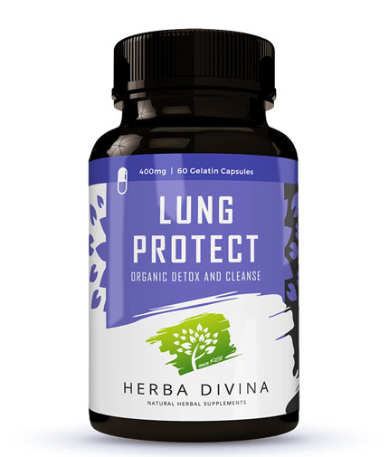 HERBA DIVINA Lung Protect / 60 Caps