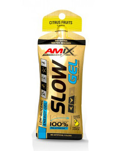 AMIX SLOW Palatinose Gel / 45 g 0.045