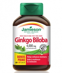 JAMIESON Ginkgo Biloba / 90 Caps