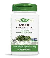 NATURES WAY Kelp Whole Thallus 600 mg / 180 Caps