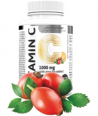 KEVIN LEVRONE Vitamin C 1000 / with Rose Hips and Bitter Orange / 90 Tabs