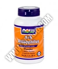 NOW Acidophilus 4X6 / 85g.