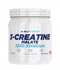 ALLNUTRITION 3-Creatine Malate / 360 Caps