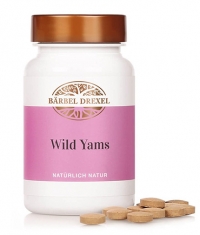 BARBEL DREXEL Wild Yam / 160 Tabs