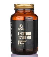 GRASSBERG Lecithin 1200 mg / 60 Softgels