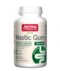 Jarrow Formulas Mastic Gum / 60 Tabs
