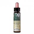 ARTESANIA AGRICOLA Madreselva (Honeysuckle) Elixir Floral 16 / 10 ml