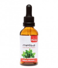 ARTESANIA AGRICOLA Melisa / Lemon balm (Tincture) / 50 ml