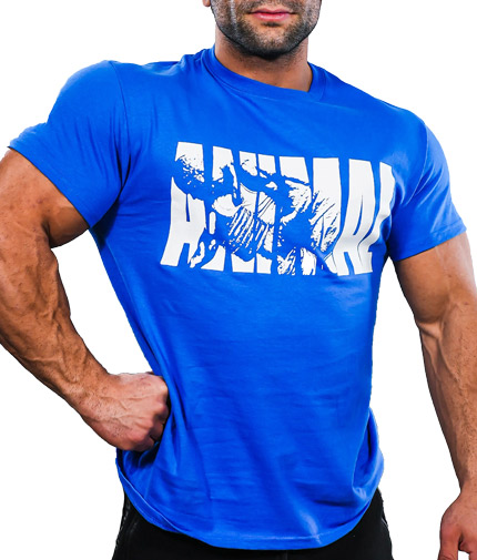 Universal animal iconic fury tee / blue Universal animal iconic fury tee / blue