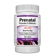 WEBBER NATURALS Prenatal Multivitamins and Minerals / 100 Caps