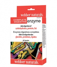 WEBBER NATURALS Complete Digestive Enzyme / 60 Caps