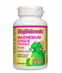 NATURAL FACTORS Big Friends Magnesium Citrate for Children / 60 Chews