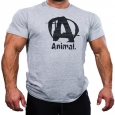 ANIMAL Animal "A" Logo Tee Grey