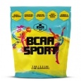 MULTISPORT TECHNOLOGY BCAA Sport