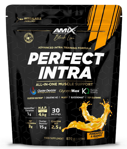 AMIX Perfect Intra 0.870
