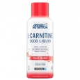 APPLIED NUTRITION Liquid L-Carnitine 3000 / 480 ml