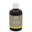MATTISSON Solidago Complex Tincture / 100 ml