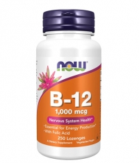 NOW Vitamin B-12 1000 mcg with Folic Acid / 250 Lozenges