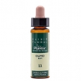 ARTESANIA AGRICOLA Plantis Olmo / Elm / Elixir Floral 11 / 10 ml