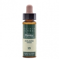 ARTESANIA AGRICOLA Plantis Aulaga / Gorse / Elixir Floral 13 / 10 ml