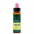 ARTESANIA AGRICOLA Plantis Agrimonia / Elixir Floral 1 / 10 ml