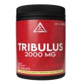 LAZAR ANGELOV NUTRITION Tribulus 2000 mg / 90 Tabs